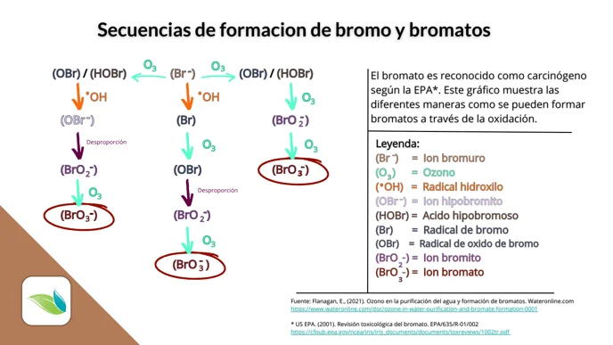 Diferencia entre bromo y agua con bromo