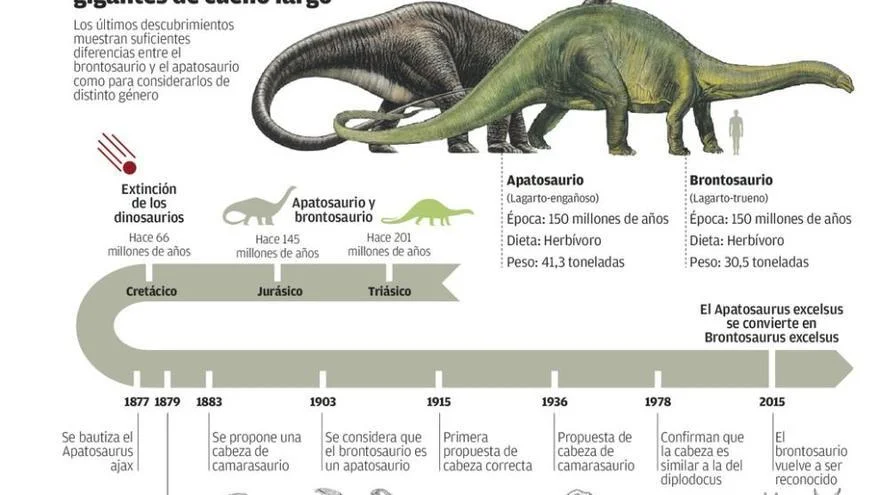 Diferencia entre Brontosaurio y Braquiosaurio