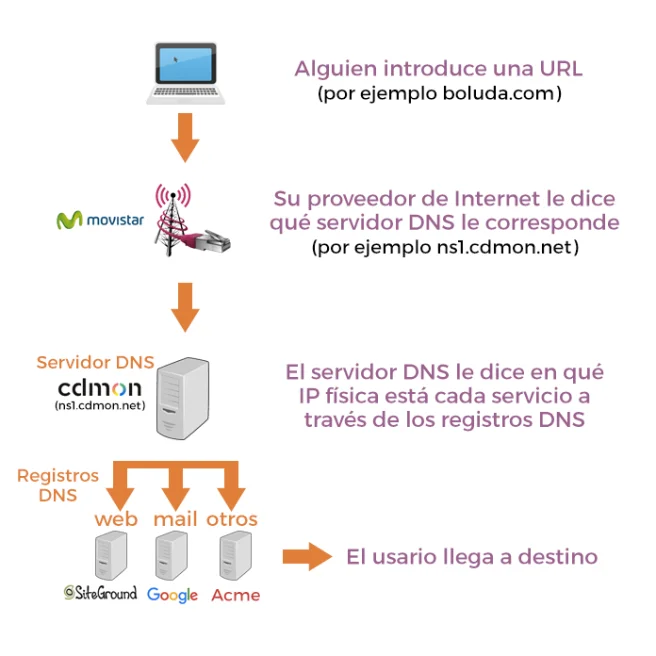 Diferencia entre dominio y DNS