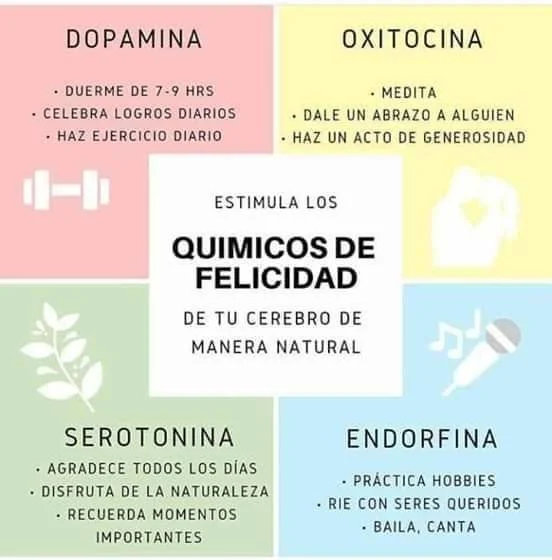 Diferencia entre dopamina y endorfinas