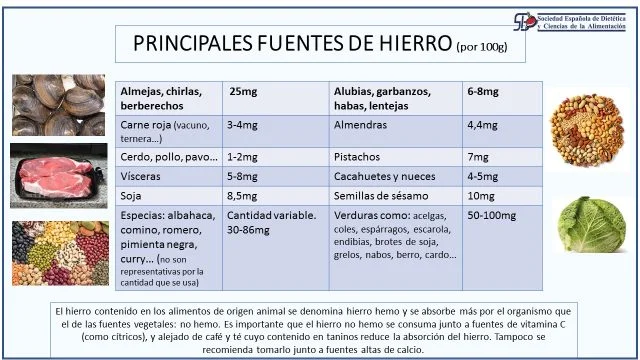 Diferencia entre el hierro hemo y el hierro no hemo