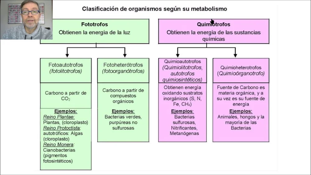 Diferencia entre fotótrofos y quimiótrofos