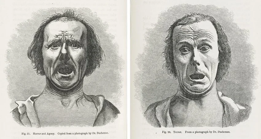 Diferencia entre horror y terror