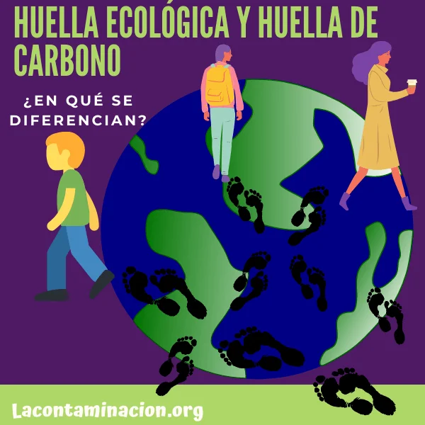 Diferencia entre huella ecológica y huella de carbono