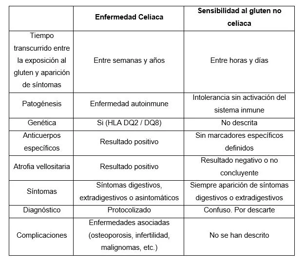 Diferencia entre la enfermedad celíaca y la intolerancia al gluten