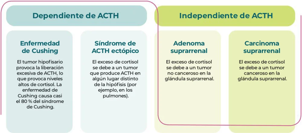 Diferencia entre la enfermedad de Cushing y el síndrome de Cushing