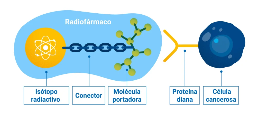 Diferencia entre un radionúclido y un radiofármaco