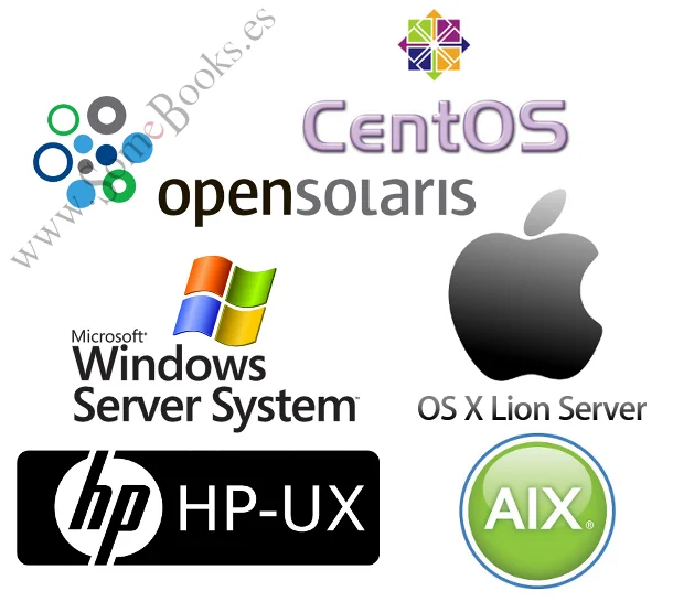 Diferencia entre un sistema operativo cliente y un sistema operativo servidor