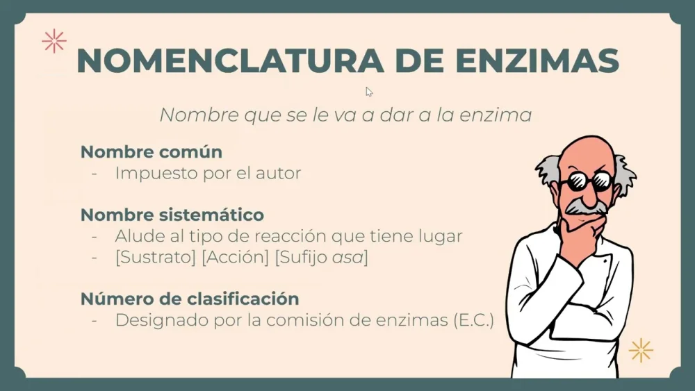 ¿Cómo se nombran las enzimas?