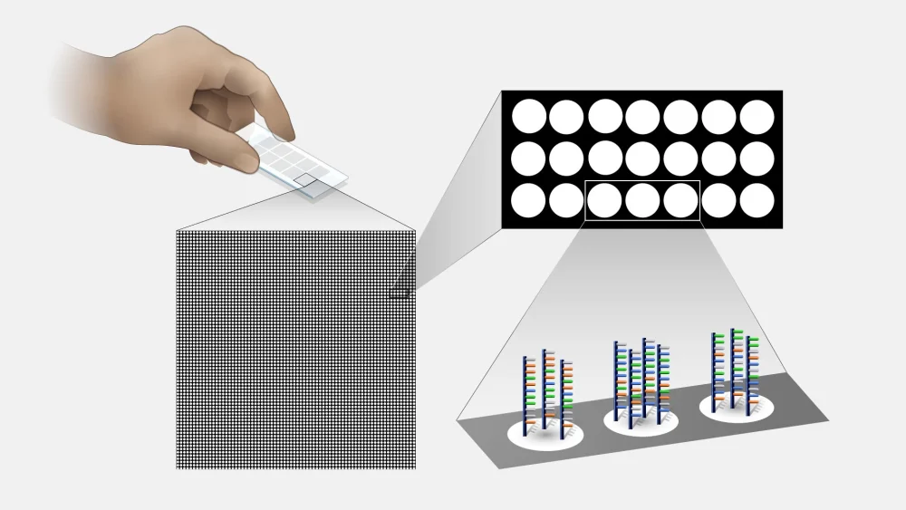 ¿Cómo se utilizan los microarrays de ADN en el estudio de la genómica?
