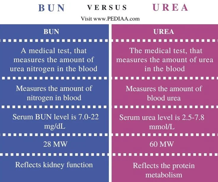 Diferencia entre BUN y urea