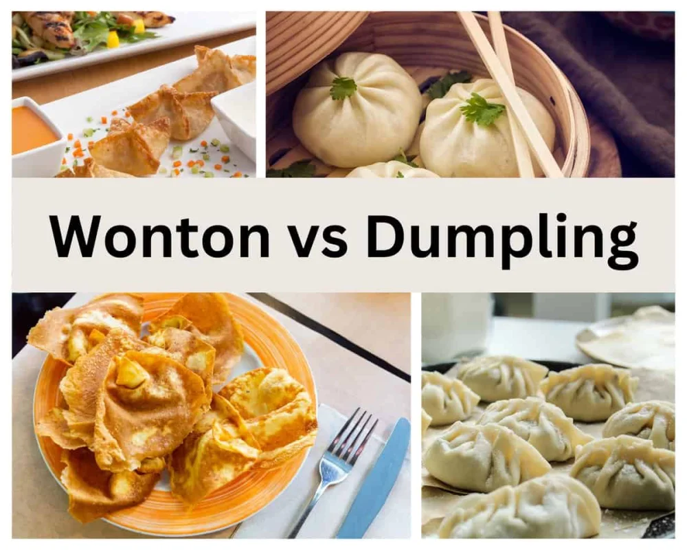 Diferencia entre dumplings y wontons