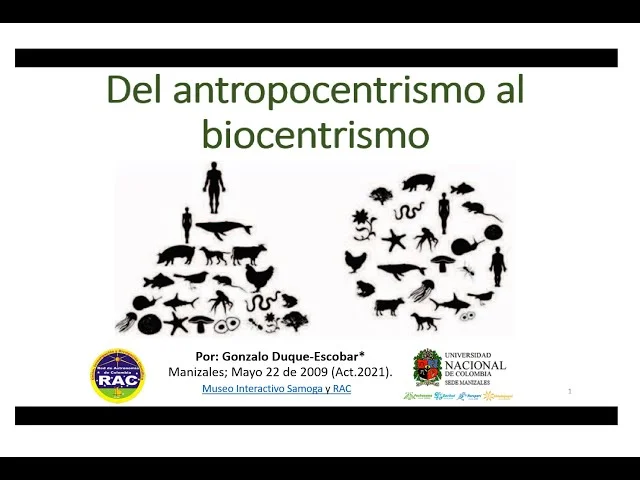 Diferencia entre ecocéntrico y biocéntrico