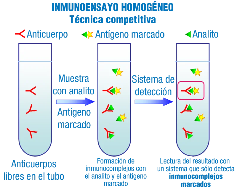 Diferencia entre el inmunoensayo homogéneo y heterogéneo