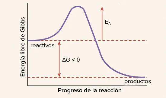 Diferencia entre energía y energía de activación