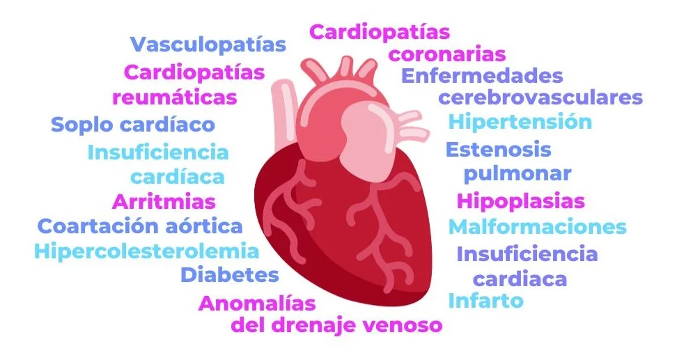 Diferencia entre enfermedad cardiovascular y enfermedad coronaria