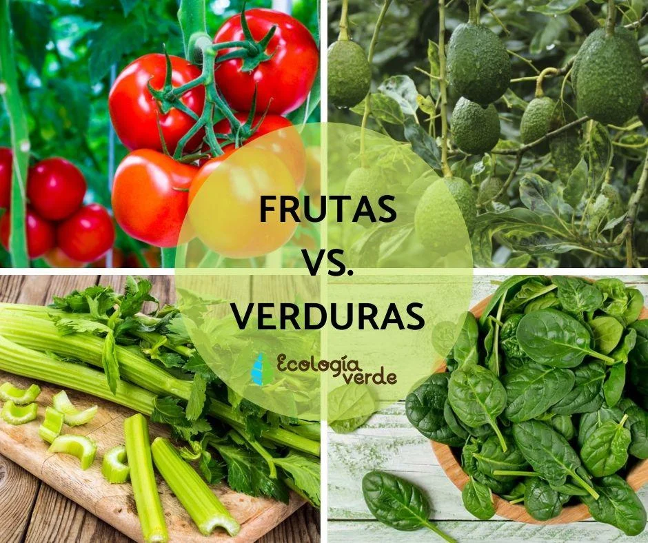 Diferencia entre fruta y verdura