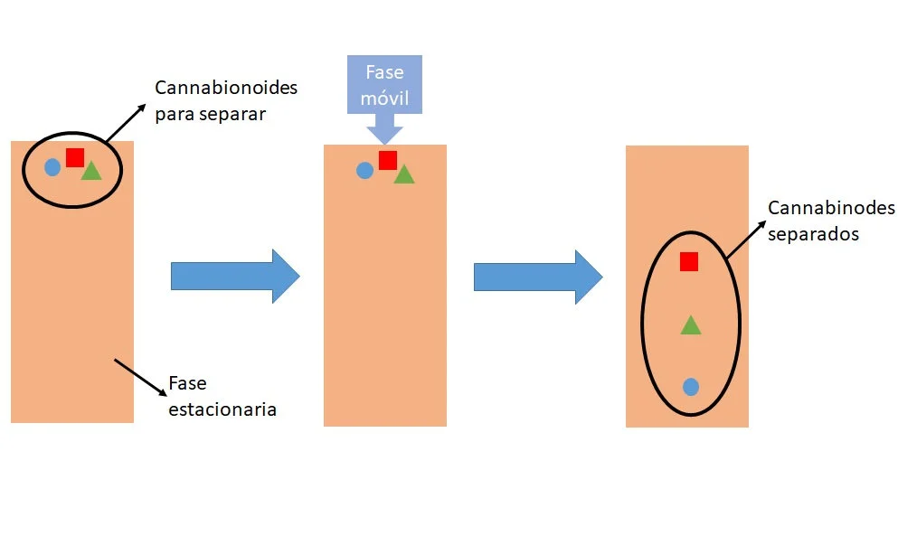 Diferencia entre la fase móvil y la fase estacionaria