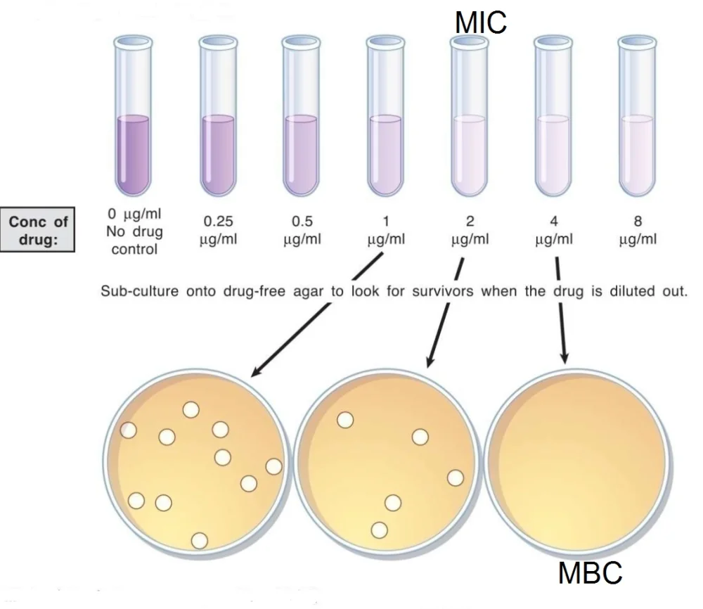 Diferencia entre MIC y MBC