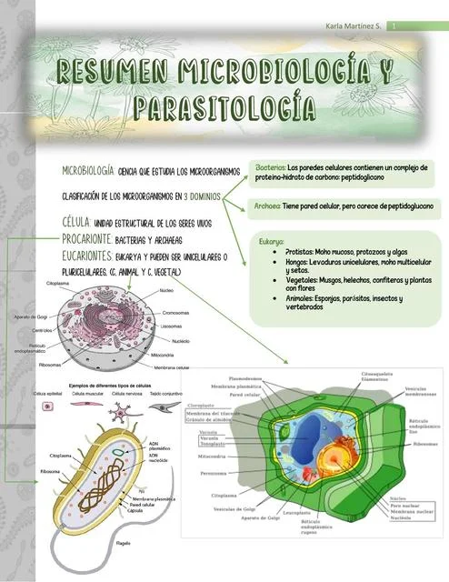 Diferencia entre microbiología y parasitología