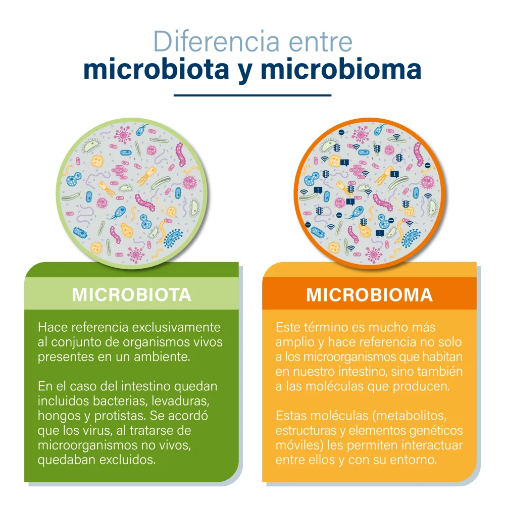 Diferencia entre microbioma y microbiota
