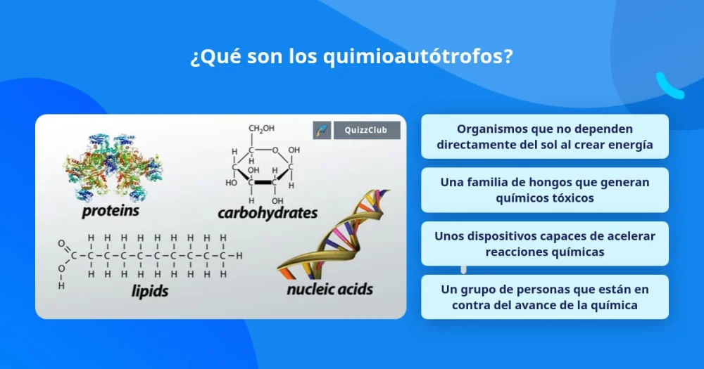 Diferencia entre quimiolitotrofos y quimioautótrofos