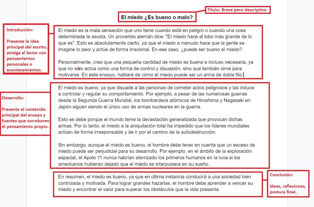 Cómo escribir un ensayo universitario Educación