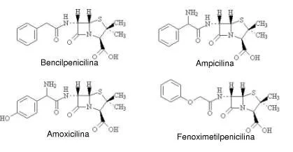 Diferencia entre ampicilina y amoxicilina