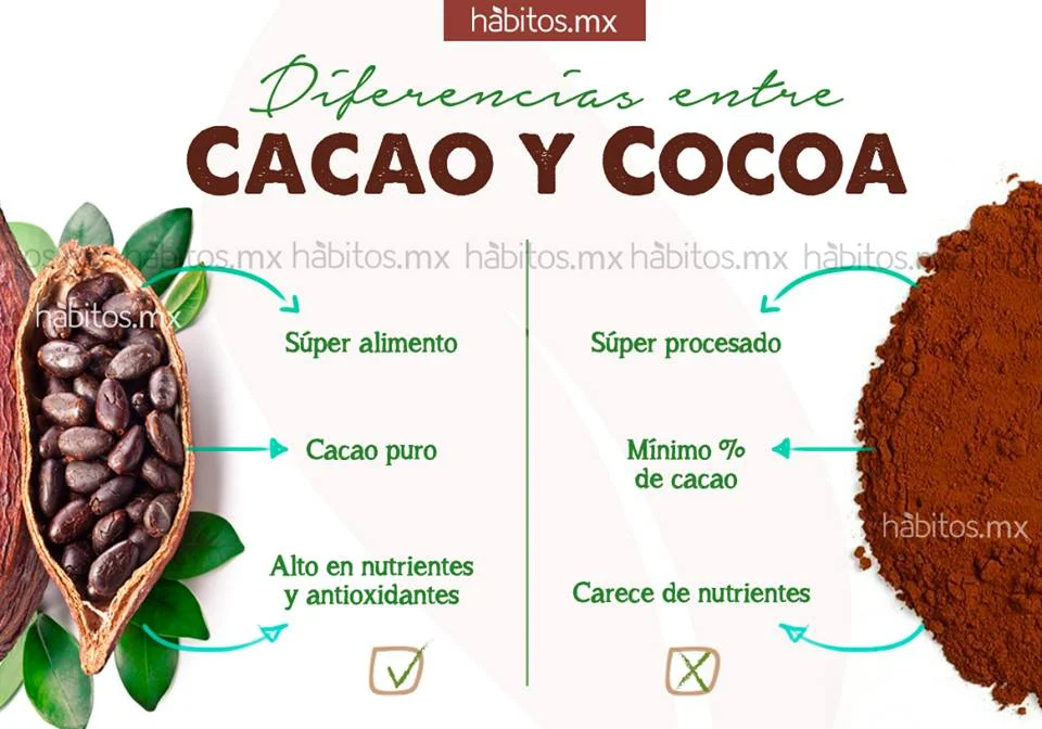 Diferencia entre cacao y cacao
