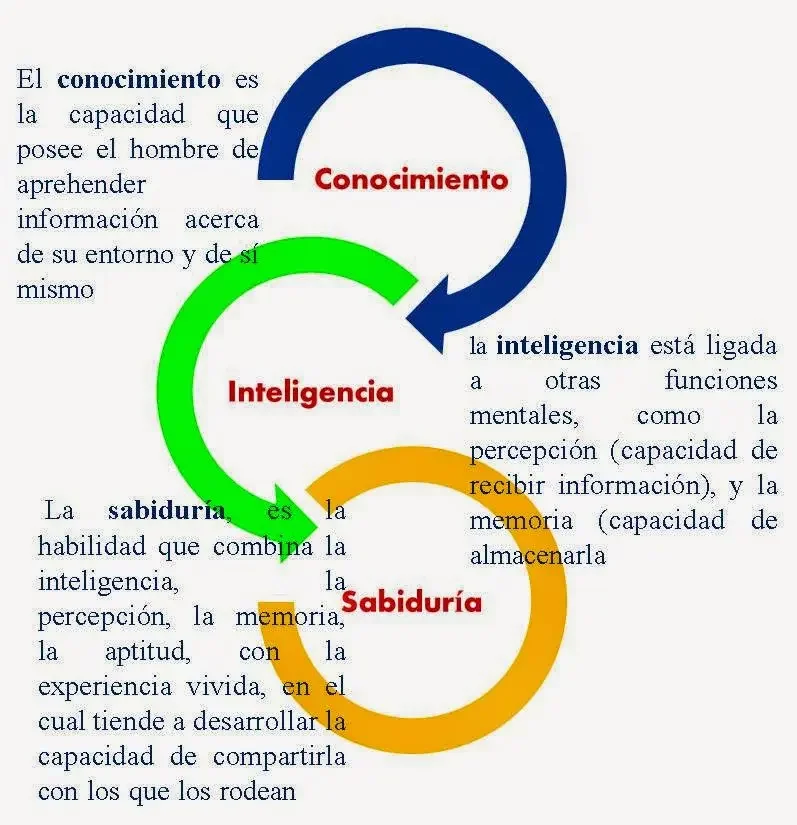 Diferencia entre conocimiento y sabiduría