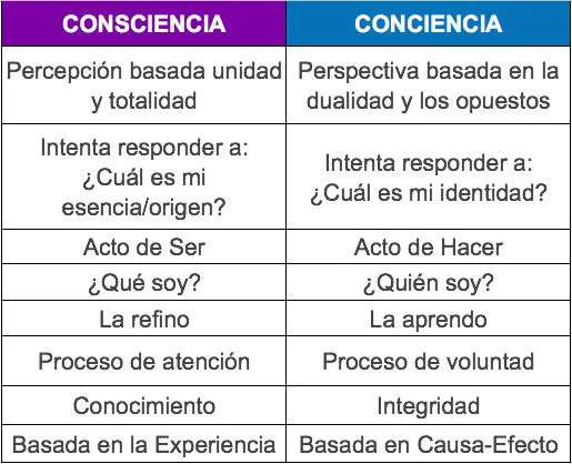 Diferencia entre consciente y consciencia