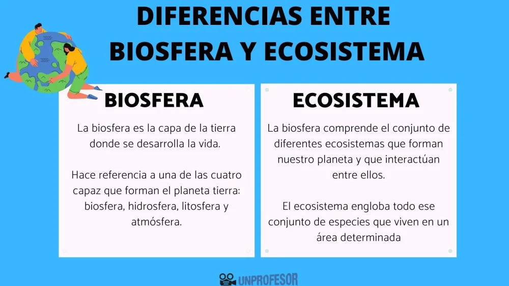 Diferencia entre ecología y ecosistema