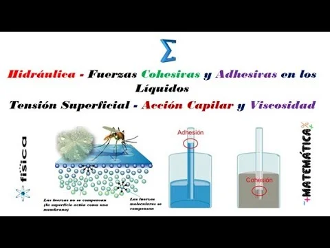 Diferencia entre fuerzas adhesivas y cohesivas