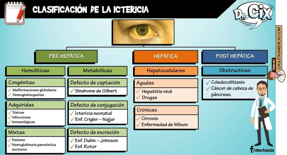 Diferencia entre ictericia e ictericia