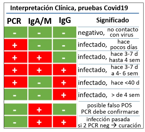 Diferencia entre IgG e IgM