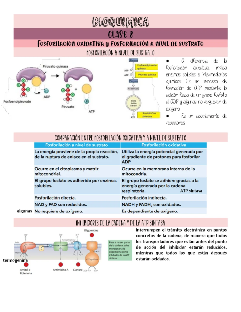 Diferencia entre la fosforilación a nivel de sustrato y la fosforilación oxidativa