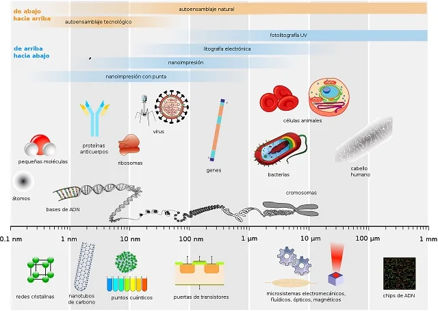 Diferencia entre microbios y microorganismos