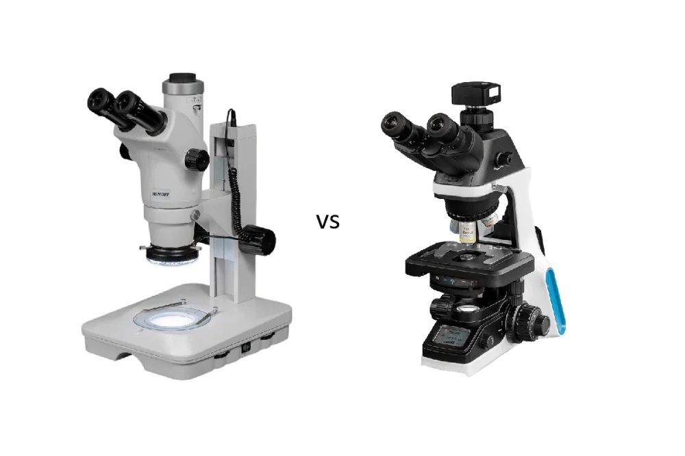 Diferencia entre microscopio óptico y microscopio electrónico