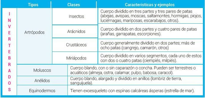 Diferencia entre anélida y artrópodos