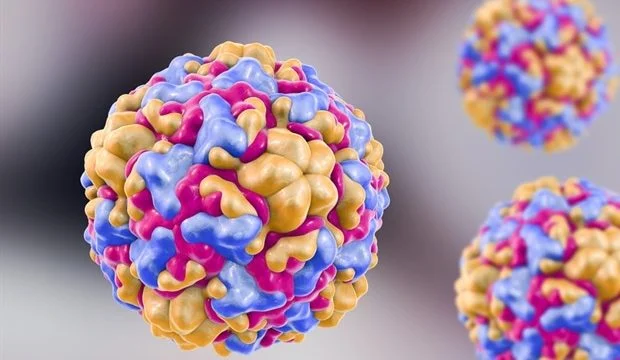 Diferencia entre enterovirus y rinovirus