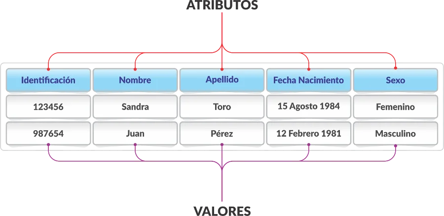 Diferencia entre entidad y atributo