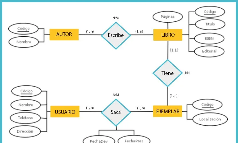 Diferencia entre entidad y relación en un DBMS