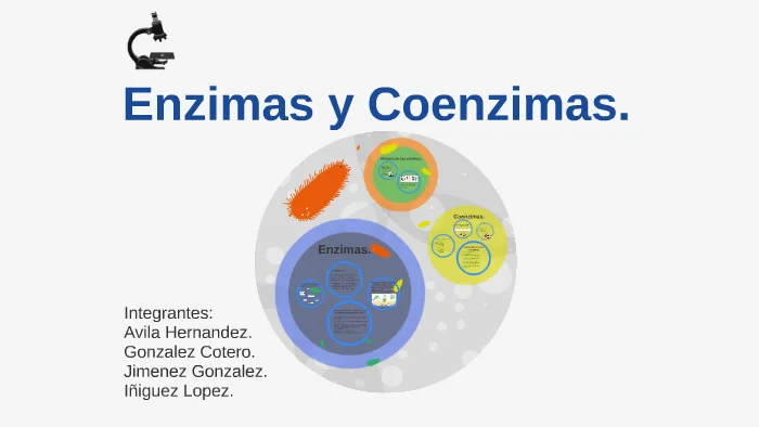 Diferencia entre enzima y coenzima