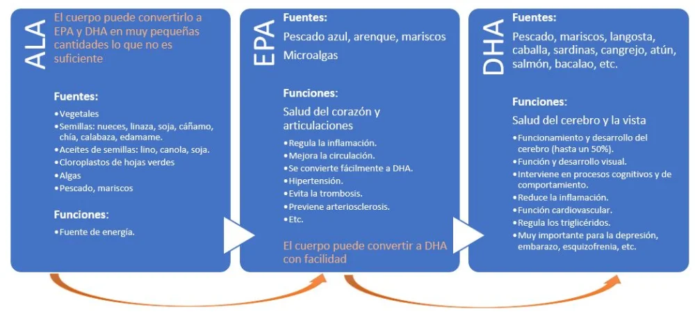 Diferencia entre EPA DHA y Omega 3