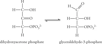 Diferencia entre G3P y DHAP