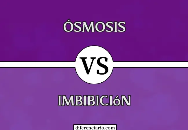 Diferencia entre imbibición y ósmosis