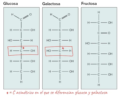 Diferencia entre la glucosa C y la glucosa D