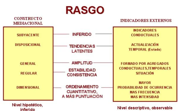 Diferencia entre rasgos y características