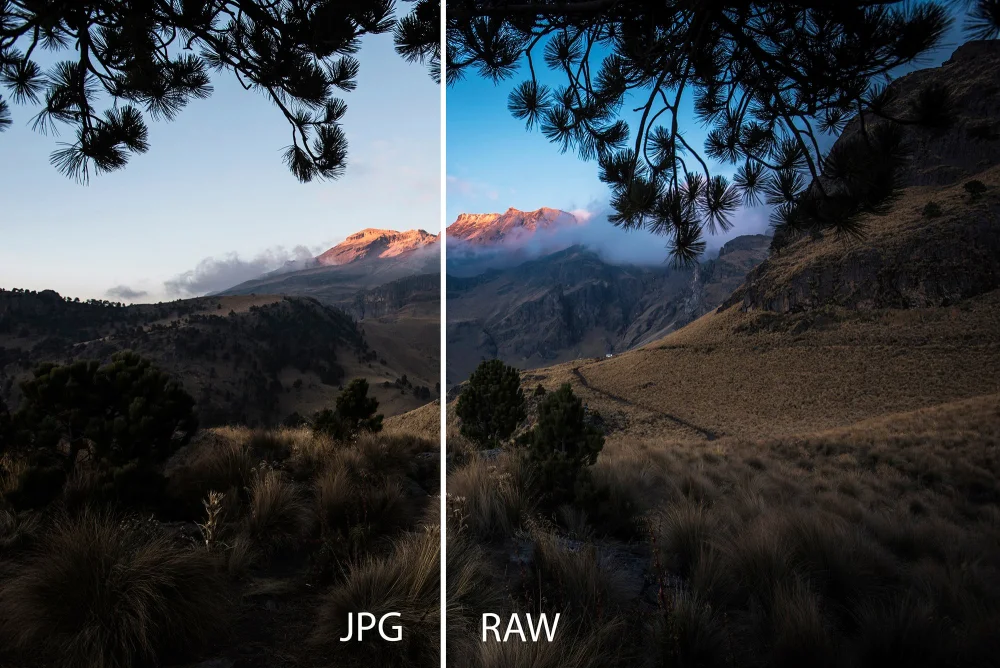 Diferencia entre RAW y JPEG