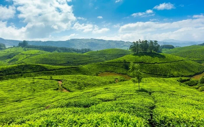 ¿Cuáles son las escapadas de fin de semana desde Bangalore?